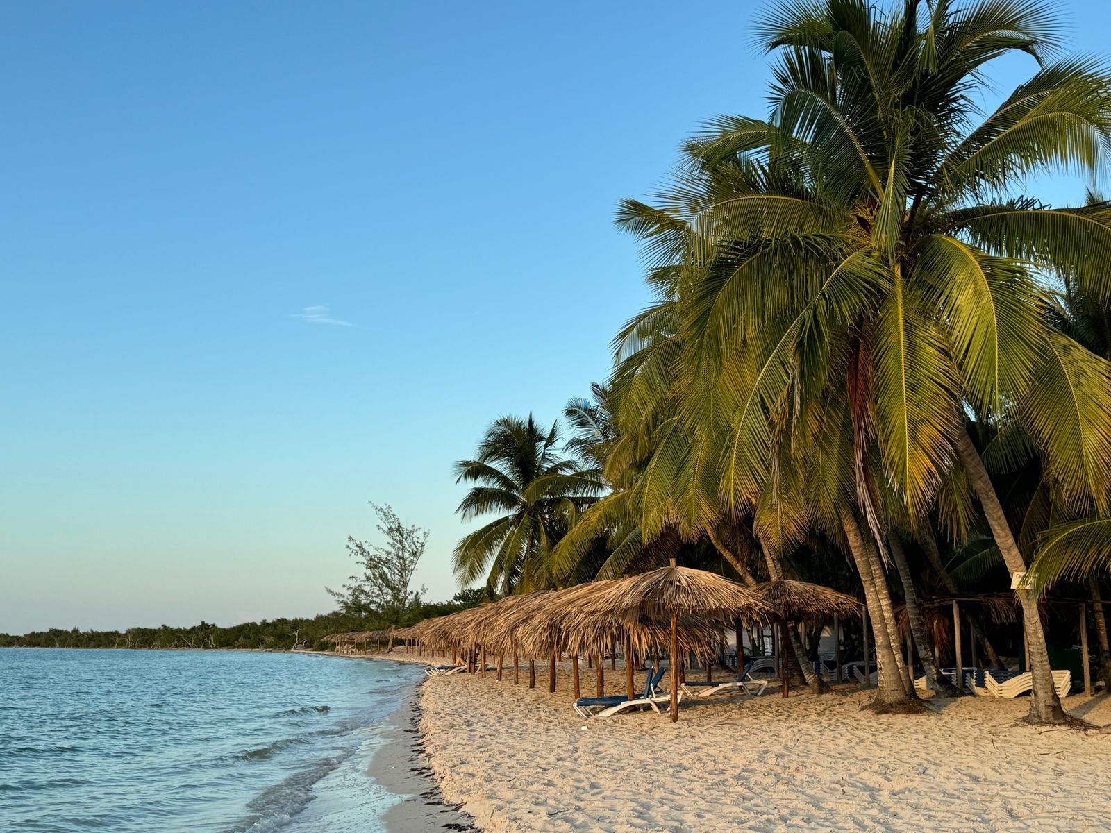 Cayo Coco — destino de tipo insular