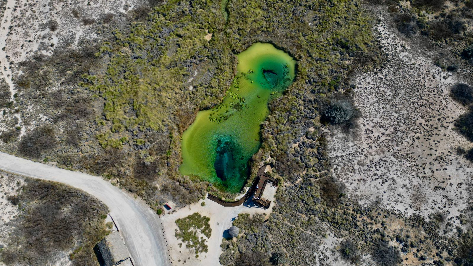 Cuatro Ciénegas — destino de tipo ecoturismo