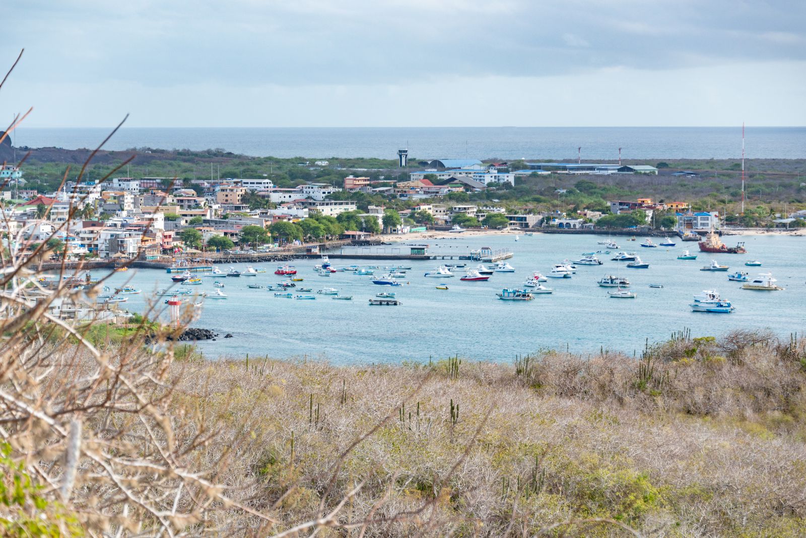 Puerto Ayora — destino de tipo insular