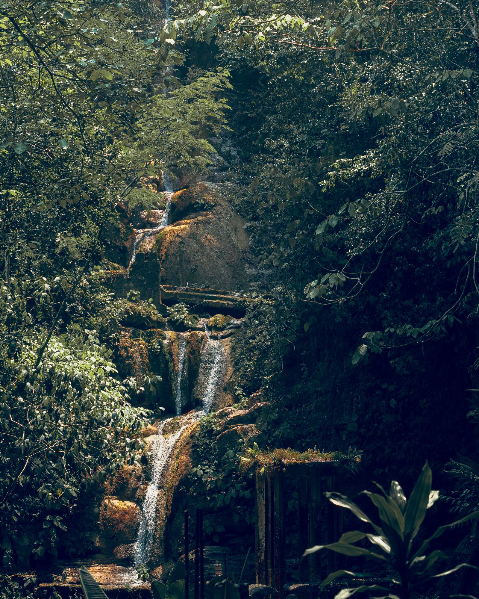 Xilitla — destino de tipo ecoturismo